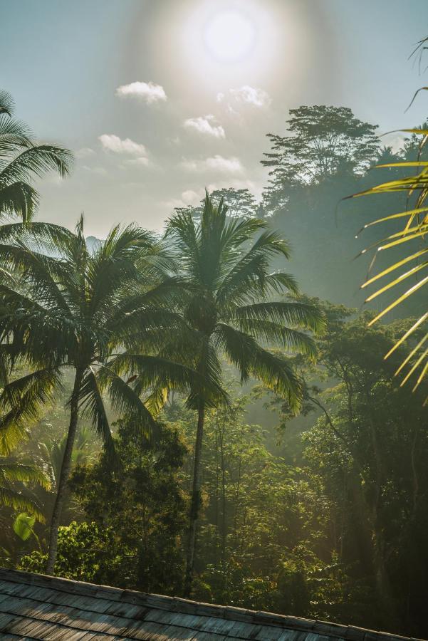 Kanva Ubud Тегалаланг Екстериор снимка