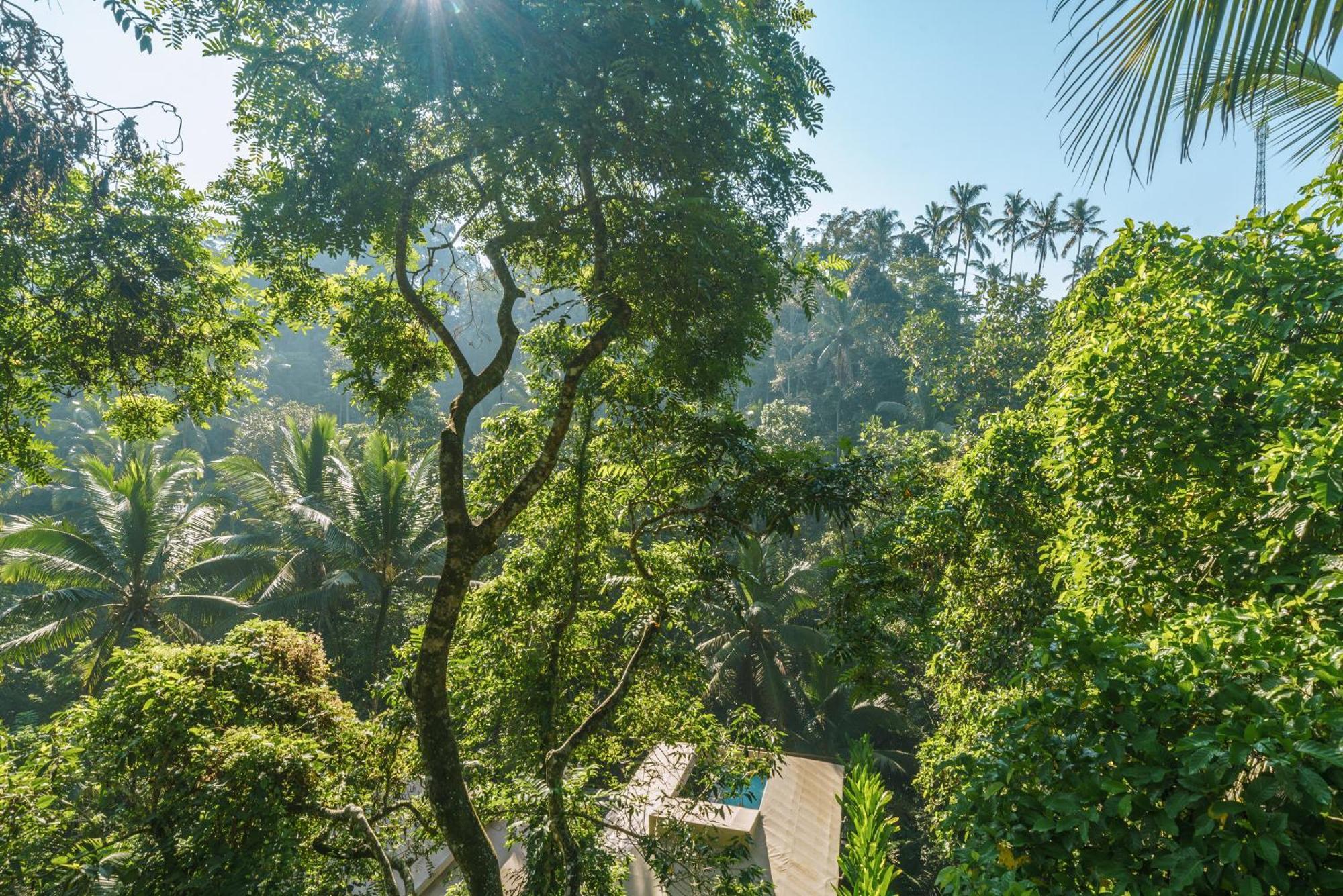 Kanva Ubud Тегалаланг Стая снимка