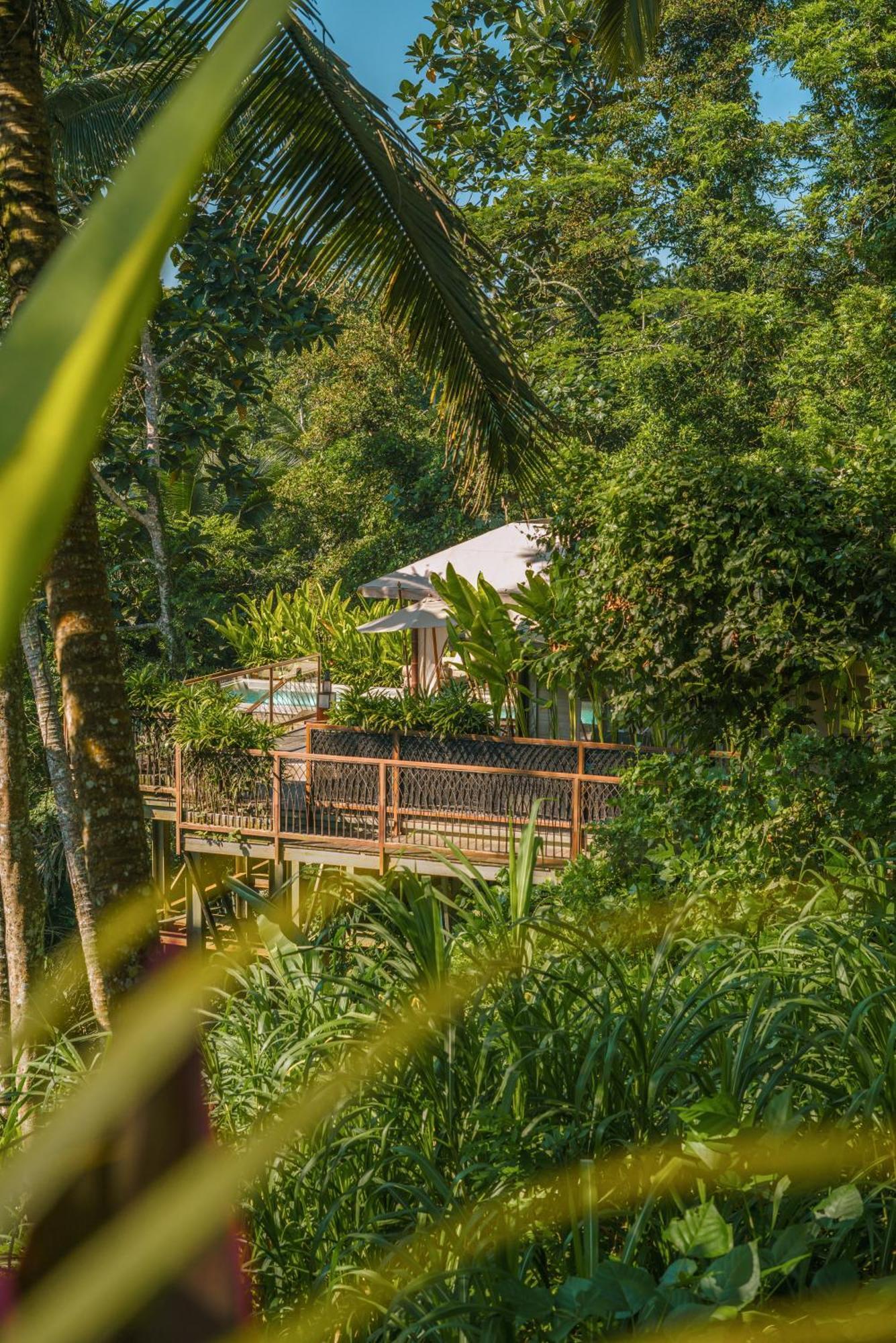 Kanva Ubud Тегалаланг Стая снимка